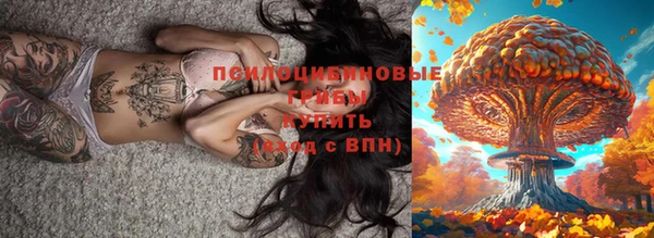 ECSTASY Новочеркасск