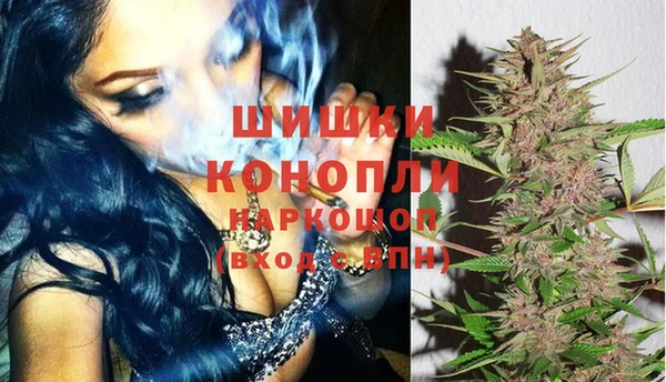 прущий лед Новозыбков