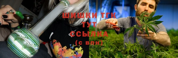 прущий лед Новозыбков